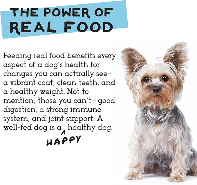 Simple Food Project - Duck & Trout Recipe - Freeze Dried Raw Food for Dogs - 48oz
