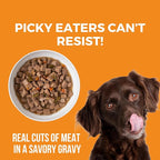 KOHA Big Easy Feast Stew for Dogs with Turkey, Chicken, and Duck, High Protein Wet Dog Food, 12.7oz Cans (Case of 12)