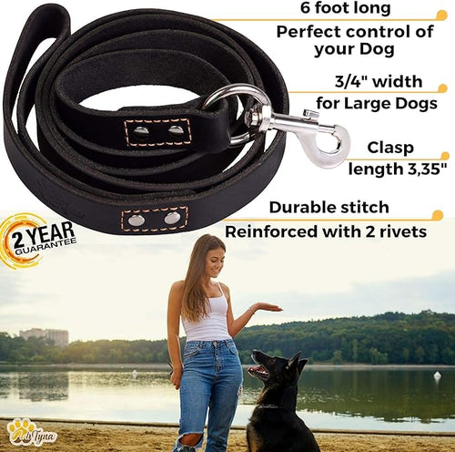 ADITYNA Leather Dog Leash 6 ft x 3/4 inch - Soft, Strong, Heavy Duty for Large & Medium Breeds - Dog Lead for Walking, Training, Hiking and Running (Black)