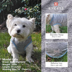 KYEESE 2 Pack Dog Shirts Quick Dry Soft Stretchy Pet T-Shirts with Reflective Label Tank Top Sleeveless Vest Sun Protection Dog Clothes for Small Dogs, Small, Light Blue+Grey