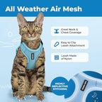 Voyager Escape Proof Cat Harness and Leash Set with Reflective Stitching, Neoprene Handle 5ft - Supports Small, Medium and Large Cats, Kittens for Walking by Best Pet Supplies - Baby Blue, XXS