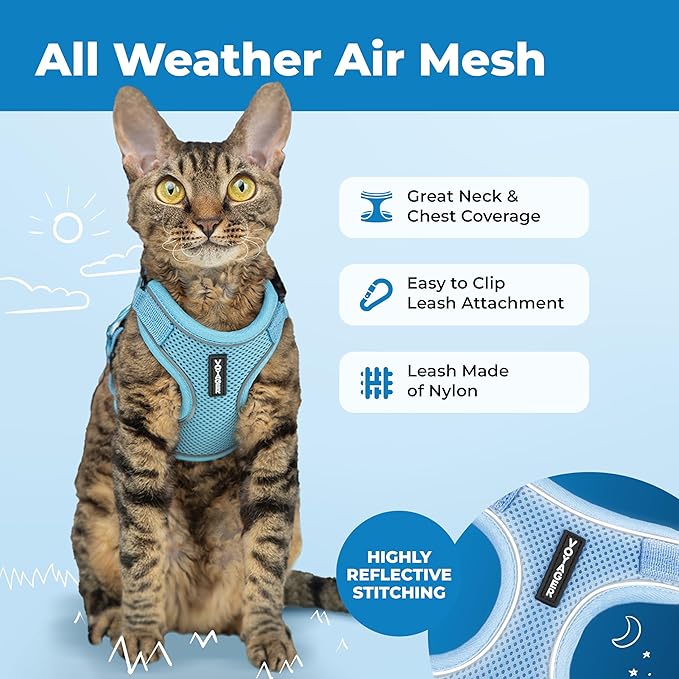 Voyager Escape Proof Cat Harness and Leash Set with Reflective Stitching, Neoprene Handle 5ft - Supports Small, Medium and Large Cats, Kittens for Walking by Best Pet Supplies - Baby Blue, S