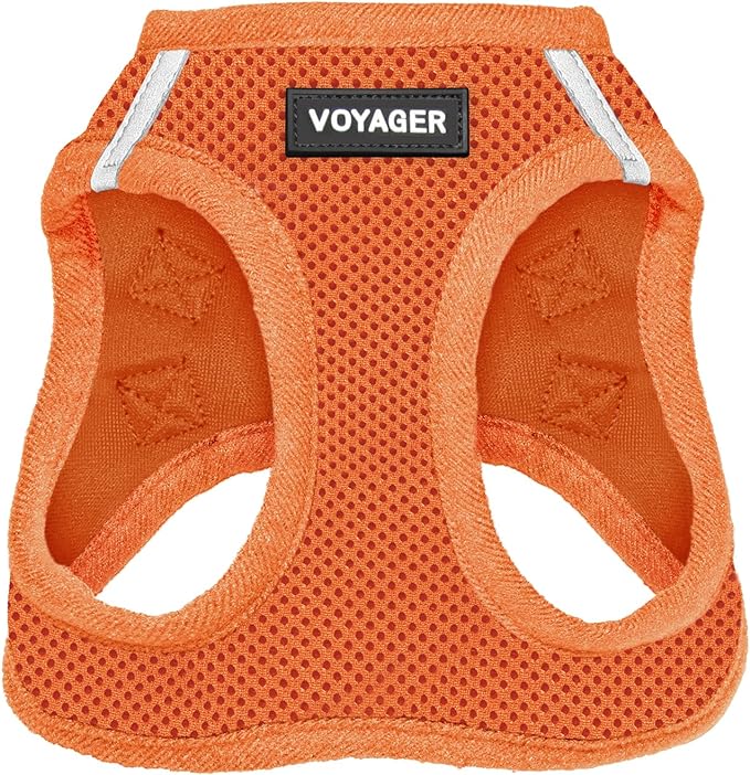 Best Pet Supplies Voyager Step-in Air Harness - All Weather Mesh, Reflective, No Pull Harness for Dogs, Cats - Secure with Hook & Loop Fastener, Buckle, Double D-Rings - Orange, S