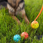 Messy Mutts Totally Pooched Huff'n Puff Ball | 3.1” TPR Puzzle Ball for Dogs | 2-in-1 Durable Interactive Toy and Tooth Cleaner | Orange