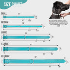 Riparo Adjustable Leather Dog Collar - Heavy Duty Wide Dog Collar for Small, Medium, Large and Extra Large Dogs with Dog Tag Holder, Blue Dog Collars (XL: 1.75" Wide for 21”-25” Neck, Aqua)