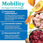 Solid Gold Healthy Dog Treats - Functional Chicken Dog Treat w/Glucosamine Chondroitin for Mobility & Joint Support - Training Treats for Dogs w/Salmon Oil & Superfoods - All Ages & Sizes - 5.2oz