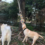Dog Outdoor Bungee Tug Hanging Toy, Tether Tug of War Toys for Pitbull Small Large Aggressive Chewers Dogs to Exercise Solo Play, Tree Tugger Interactive Tug Toy, Dog Rope Toys