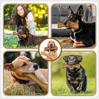 Dog Toys for Aggressive Chewers, Indestructible Bones for Aggressive Chewers, Tough Puppy Chew Toy for Heavy Duty Dogs, Big Dog Teething Toys with Durable Nylon for Large/Medium Breed Puppies