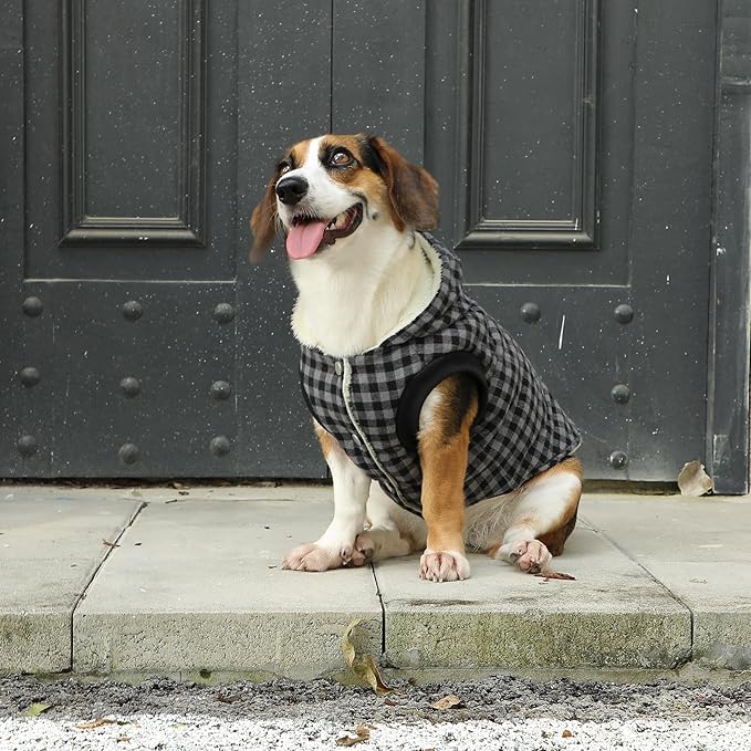Fleece Lining Dog Hoodie for Small Dogs Extra Warm Plaid Sweater with Drawstring Hooded Coats in Winter Puppy Jacket,Black S
