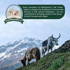Authentic Himalayan Natural Dog Cheese Chew (Pack of 4 Large & XLarge Chews), Premium Organic Yak Chew, Keeps Your Dog Busy, Ideal for Indoors and Outdoors Use