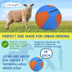 Herding Ball for Dogs - 25" Large Herding Ball with Anti-Burst Cover and Pump, Outdoor Dog Exercise Toy for Australian Shepherd, German Shepherd, Collie (Blue & Orange)