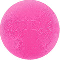 Outward Hound by Planet Dog Squeak Ball Bouncy Fetch Dog Toy, Pink