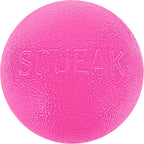 Outward Hound by Planet Dog Squeak Ball Bouncy Fetch Dog Toy, Pink