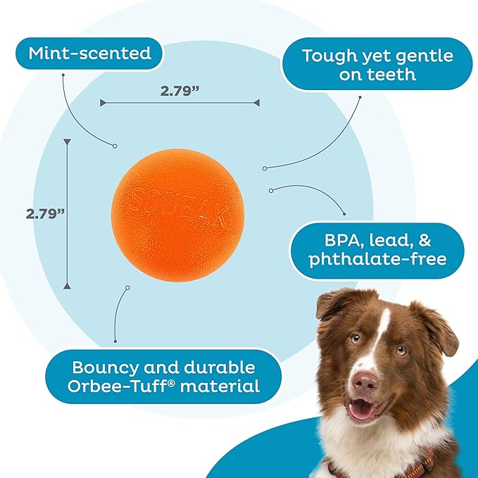Outward Hound by Planet Dog Squeak Ball Bouncy Fetch Dog Toy, Orange