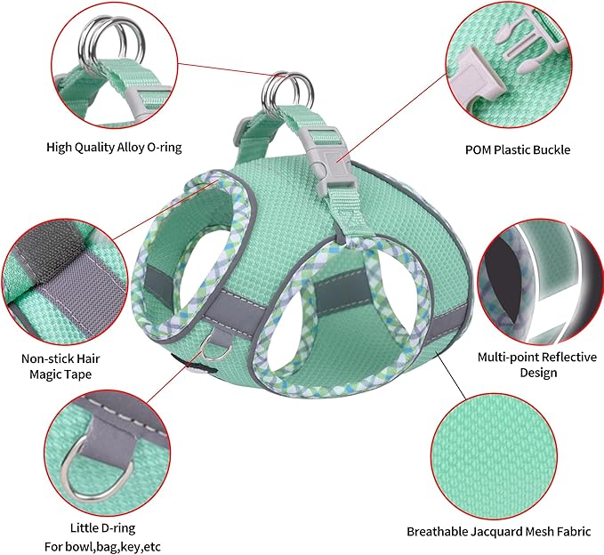 AIITLE Tiny Dog Harness - Lightweight Mesh Step-in Vest for Puppy, Reflective & Escape-Proof Design with High-Stick Magic Tape - Indoor/Outdoor Use for Chihuahua, Maltese, Shih Tzu(Turquoise, XXXS)