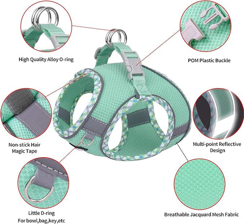 AIITLE Dog Harness and Leash Set - Ultra-Comfortable XXS-XL Vest with Strong Magic Tape & Glow-in-Dark Reflective Strips, Chafe-Free for Teddy, Schnauzer (Turquoise, M)