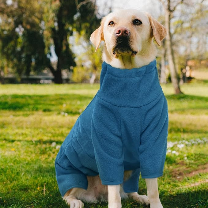 ROZKITCH XS Dog Winter Coat, Pet Windproof Warm Cold Weather Jacket Vest Cozy Jumpsuit Apparel Outfit Clothes for Small Medium Large Dog Walking Sleep XS