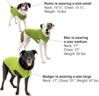 Kurgo Core Dog Sweater with Fleece Lining - Cold Weather Pet Jacket, Zipper Opening for Harness, Adjustable Neck, Year-Round Sweater for Small Dogs (Heather Green, Small)