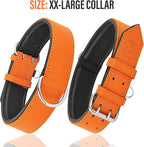 Riparo Orange Leather Dog Collar - Heavy Duty Wide Dog Collar for Small, Medium, Large and Extra Large Dogs with Dog Tag Holder (M: 1" Wide for 13.5”-17.5” Neck, Orange)