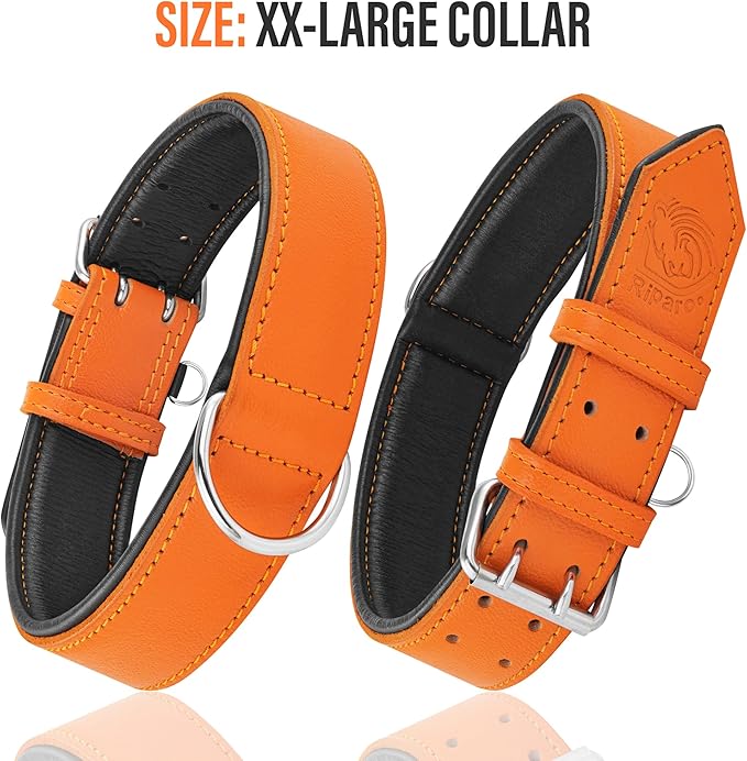 Riparo Orange Leather Dog Collar - Padded Heavy Duty Wide Dog Collar for Small, Medium, Large and Extra Large Dogs with Dog Tag Holder, Large Dog Collars (L: 1.5" Wide for 17"-21" Neck, Orange)