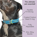 Wild One, Limited Edition, Designer Collection, Blue Dog Collar, Easy-Clean, All Weather Flex-Poly Strap with Metal, Durable, Dirt and Odor Resistant, XSmall
