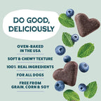 Shameless Pets Soft-Baked Dog Treats, Blueberried Treasure - Natural & Healthy Chews with Mint for Immune Support - Dog Biscuits Baked & Made in USA, Free from Grain, Corn & Soy - 1 Pound (Pack of1)