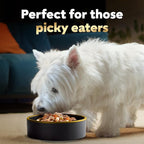 Cesar Simply Crafted Adult Wet Dog Food Meal Topper, Chicken, Duck, Purple Potatoes, Pumpkin, Green Beans & Brown Rice and Chicken, Carrots, Barley & Spinach Multipack, 1.3oz (8 Count, Pack of 1)