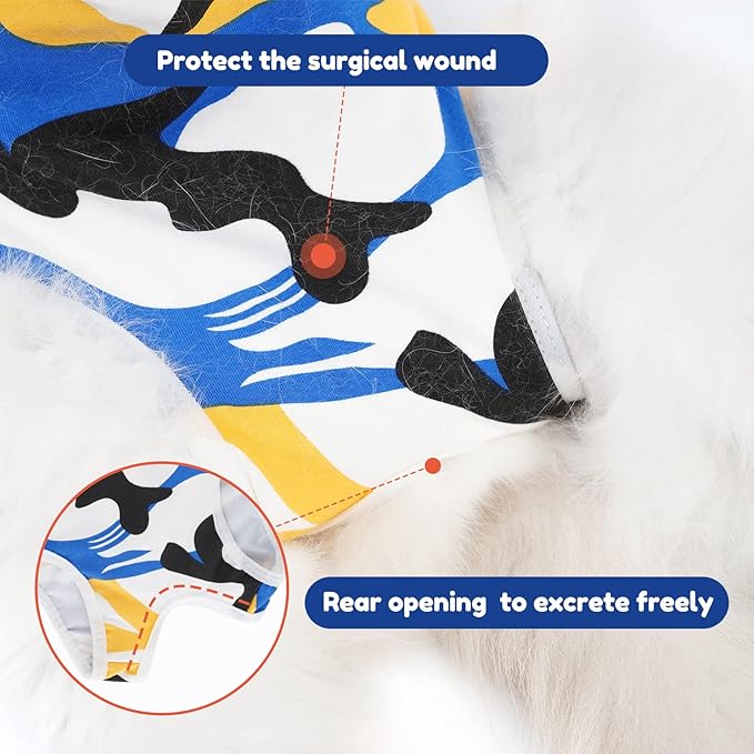 Cat Surgical Recovery Suit, Abdominal Wounds Cone E-Collar Alternative Anti-Licking Or Skin Diseases Pet Surgical Recovery Pajama Suit, Soft Fabric Onesies for Cats (S, Blue)