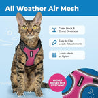 Voyager Escape Proof Cat Harness and Leash Set with Reflective Stitching, Neoprene Handle 5ft - Supports Small, Medium and Large Cats, Kittens for Walking by Best Pet Supplies - BT-Fuchsia, XXXS