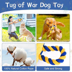 Squeaky Parrot Dog Toy with Rope Wings, Tug of War & Chew Interactive Plush Bird Toy for Small Medium Dogs, Indoor Puppy Play