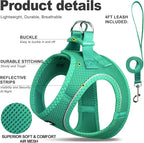 Fida Cat Harness and Leash Set for Walking Kitten and Puppy, Escape Proof Kitten Harness with Breathable Lightweight Soft Mesh, Adjustable Reflective Step-in Design. (XXS, Green)