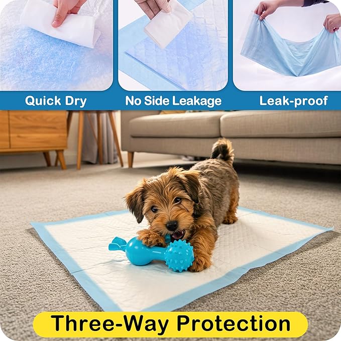 MoMoCo Puppy Pads, 23"x23"-100 Count Dog Pads, Super Absorbent Extra Large Disposable Dogs Training Pads , Leak-Proof, Quick-Drying Dogs Potty Pads for Doggies Puppies