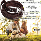 ADITYNA Leather Dog Leash 6 ft x 3/4 inch - Soft, Strong, Heavy Duty for Large & Medium Breeds - Dog Lead for Walking, Training, Hiking and Running (Brown)