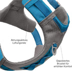 Kurgo Nomad Carrier Backpack - Airline Approved Dog Bag for Travel - Stylish Pet Backpack with Waterproof Bottom - Lightweight for Hiking - Small Breed Dog Carrier with Tablet Sleeve - Blue