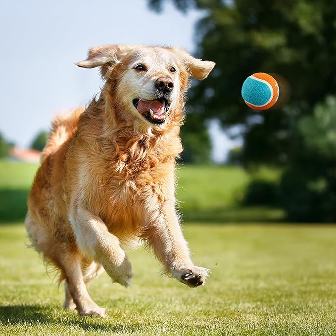 ALL FOR PAWS Tennis Balls Dog Toy, 2.5 Inch Pet Safe Fetch Balls for Dogs 20-60 lbs, Colorful Dog Balls Toys with Super Bounce (4 Pack)