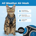 Voyager Escape Proof Cat Harness and Leash Set with Reflective Stitching, Neoprene Handle 5ft - Supports Small, Medium and Large Cats, Kittens for Walking by Best Pet Supplies - Black, XXXS
