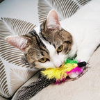 Cat Feather Toys Refills, 8 Pieces Natural Da Bird Feathers Refill, Cat Wand Replacement Feather for Indoor Cats (D)