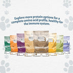 Canine Caviar - Open Sky: Duck & Teff Alkaline Dry Dog Food, Limited Ingredients, Gluten-Free, Based on Science & Research, Veterinary Alternative Diet (4.4 Pound Bag)