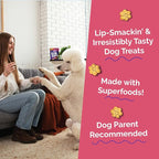 Fruitables Baked Dog Treats, Healthy Pumpkin Treat for Dogs, Low Calorie & Delicious, No Wheat, Corn or Soy, Made in the USA, Pumpkin and Apple Flavor, 12oz