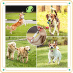 2 Pack Dog Whistle - Adjustable Ultrasonic Silent Dog Training Whistle for Effective Bark Control, Professional Recall and Training, Includes Lanyard