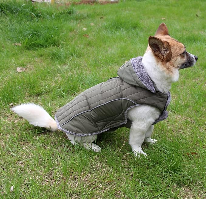 Fleece Dog Hoodie for Large Dogs Super Warm Doggie Jacket for Cold Winter Dog Coats,Green XL