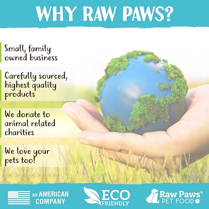 Raw Paws Signature Pet Food for Dogs & Cats - Wild Caught Salmon, 1-lb Rolls (20 Pack) Made in USA Salmon Dog Food - Raw Frozen Fish Dog Food - Sensitive Stomach Cat Food