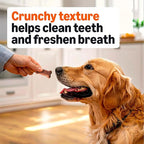 Amazon Basics Gravy Basted Flavor Biscuits Dog Treats 5 lb. Box