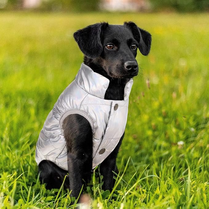 ASENKU Dog Winter Coat - Waterproof Windproof Dog Jacket, Warm Snowproof Doggie Puffer Vest for Cold Weather, Lightweight Snow Coats for Small Medium Large Dogs (Silver, XL)