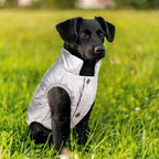 ASENKU Dog Winter Coat - Waterproof Windproof Dog Jacket, Warm Snowproof Doggie Puffer Vest for Cold Weather, Lightweight Snow Coats for Small Medium Large Dogs (Silver, L)