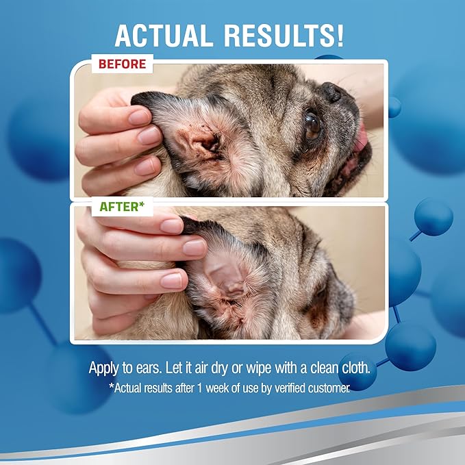 PetSilver Dog Ear Cleaner Solution – Gentle Ear Wash for Dogs and Cats with Chelated Silver – Otic Rinse Formula Targets Wax Buildup, Smelly Odor, and Itchy or Irritated Areas - Made in USA - 8 fl oz