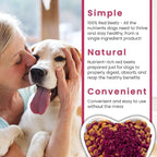 Olewo Original Red Beets for Dogs – Natural Skin & Coat Dog Food Topper, Anti Itch, Dehydrated Vegetables, Whole Food Supplements & Vitamins, Fiber for Dogs, 5.5 lbs