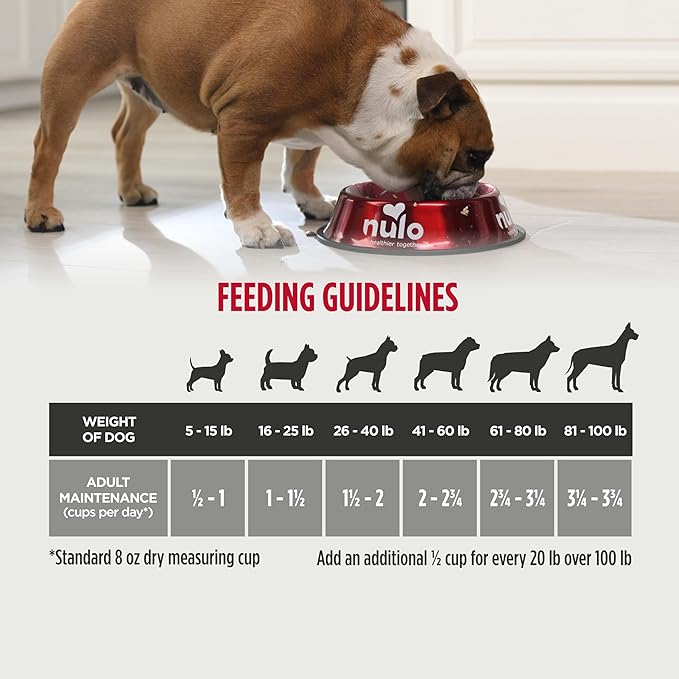 Nulo Frontrunner Ancient Grains High-Protein Dog Food, Pork, Barley, & Beef Recipe- Natural Dry Dog Food with Probiotics, Grain-Inclusive Kibble for Adult Dogs, 25 lb Bag