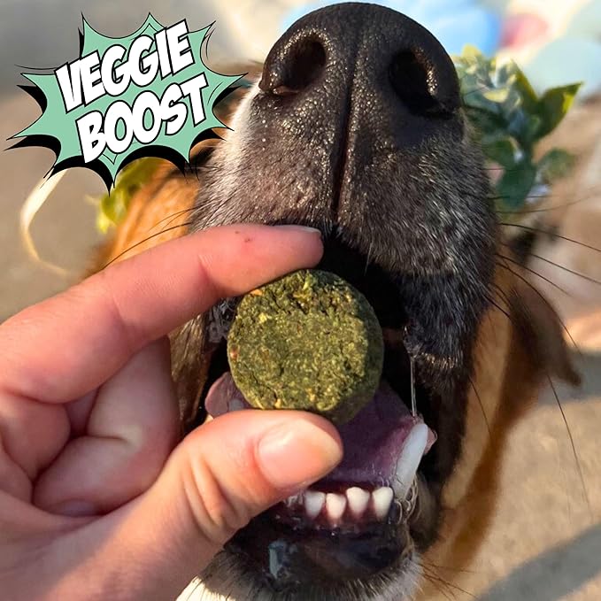 Chippin Healthy Dog Treats with Kale, Carrots, & Spirulina, Crunchy Vegan Biscuit, All-Natural, Hypoallergenic Gift for Dog Lovers, Gentle on Sensitive Stomachs, Gut Healthy Meal Topper, 2-Pack