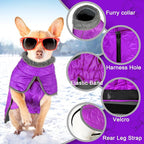Fragralley Dog Winter Coat, Waterproof Windproof Reflective Fleece Jacket with Harness Hole, Warm Snow Vest for Small Medium Large Dogs, Ideal Gifts